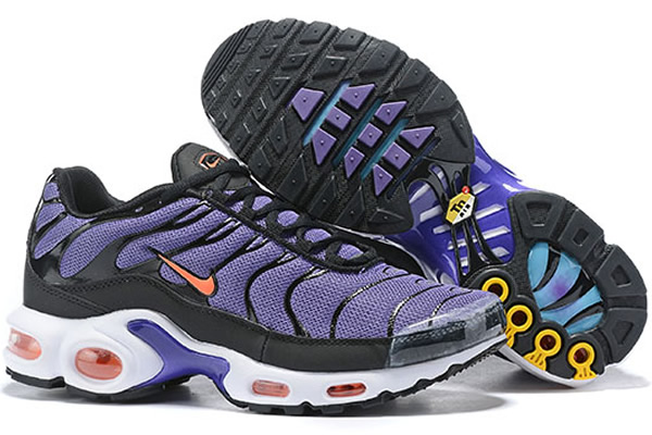 Nike Air Max TN 8909-B5